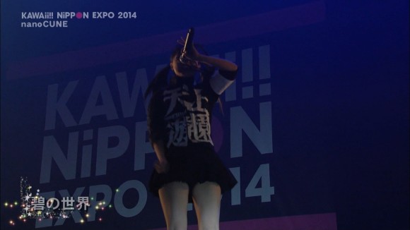Kawaii Nippon Expo2014パンチラキャプ画001