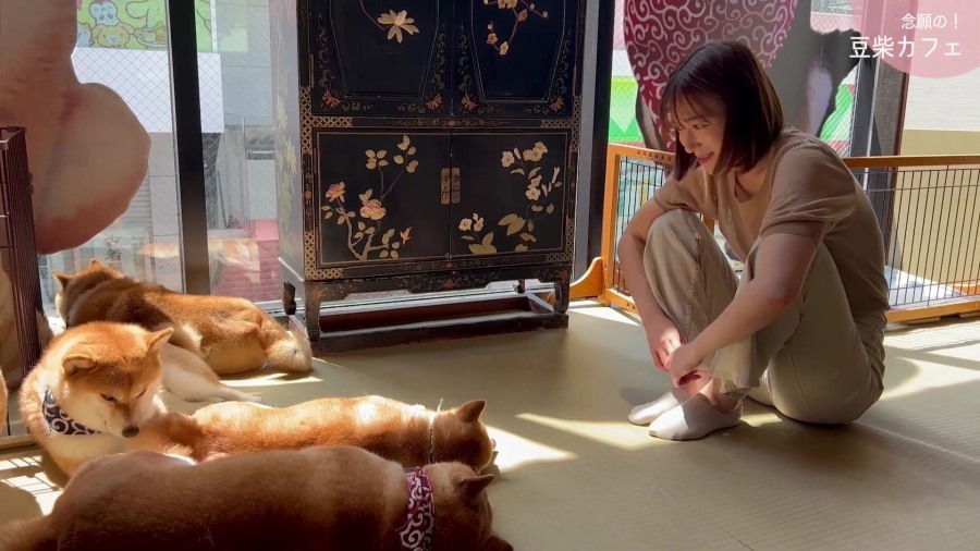 芸能人 マンスジ画像!エロいワレメにエッチな股間♡お宝放送事故ハプニングが抜けるよ!!【動画あり】009枚目