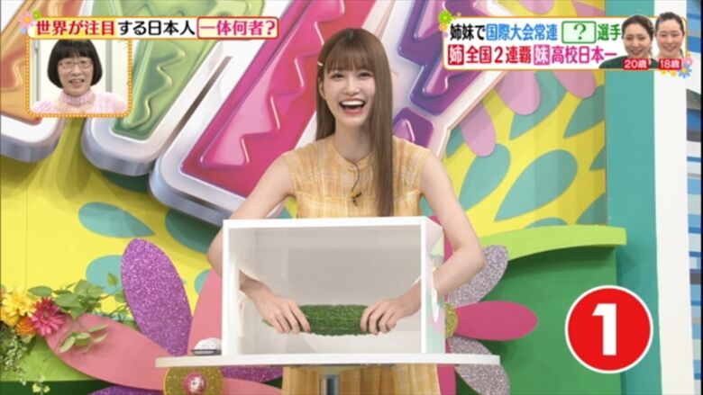 めるる パンチラがエロいデルタゾーンだぜ!写真集もセクシーで抜けちゃいます♡022