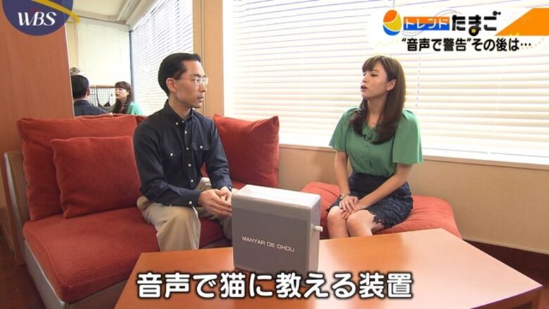 芸能人 パンチラがエロいぜ!テレビのお宝画像ここにあり📺パンツの専門サイトが徹底解説しちゃいます♡168