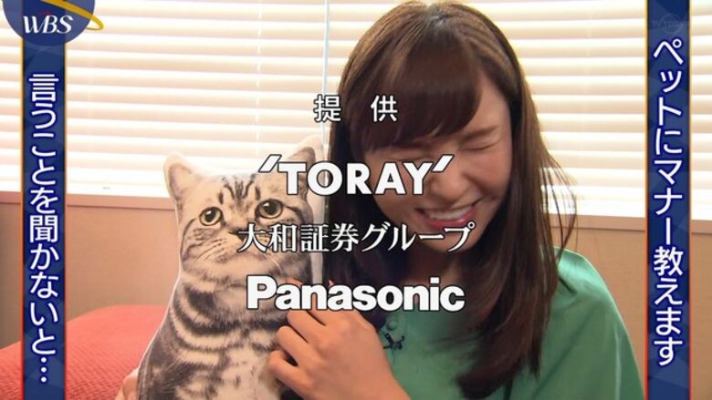 芸能人 パンチラがエロいぜ!テレビのお宝画像ここにあり📺パンツの専門サイトが徹底解説しちゃいます♡169