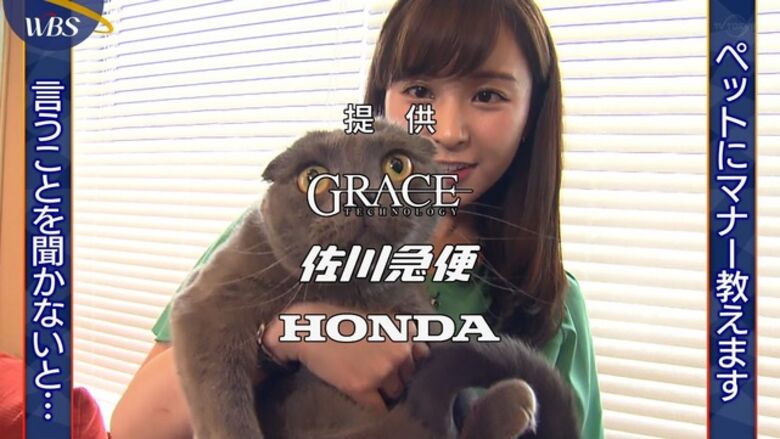 芸能人 パンチラがエロいぜ!テレビのお宝画像ここにあり📺パンツの専門サイトが徹底解説しちゃいます♡171