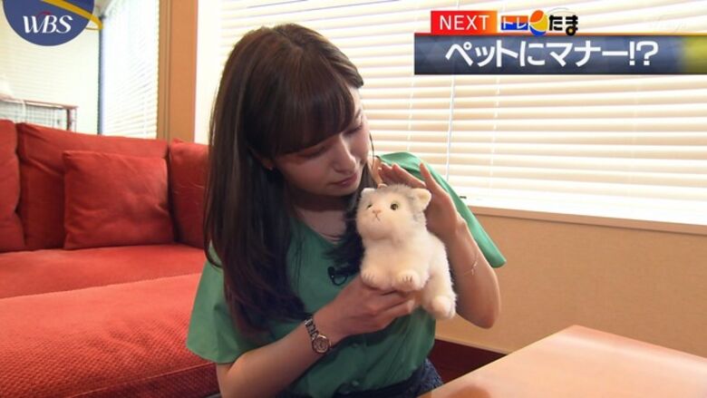 芸能人 パンチラがエロいぜ!テレビのお宝画像ここにあり📺パンツの専門サイトが徹底解説しちゃいます♡172