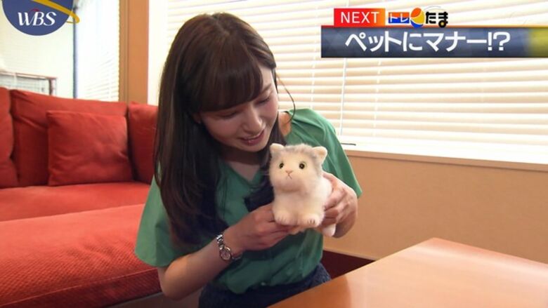芸能人 パンチラがエロいぜ!テレビのお宝画像ここにあり📺パンツの専門サイトが徹底解説しちゃいます♡173