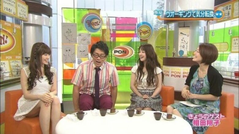 芸能人 パンチラがエロいぜ!テレビのお宝画像ここにあり📺パンツの専門サイトが徹底解説しちゃいます♡806