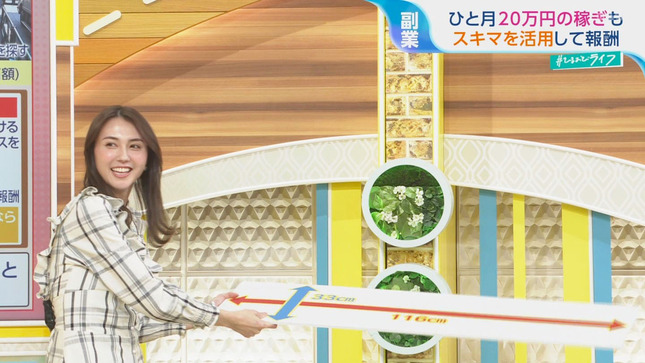 山形純菜アナのスリットスカートの奥から一瞬だけ黒そうなパンチラが…(゚Д゚)010