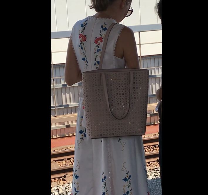 駅構内でJDお姉さんと熟女系外人で発見！気になるパンツを覗いて見ようぜ!!【Pcolle】006