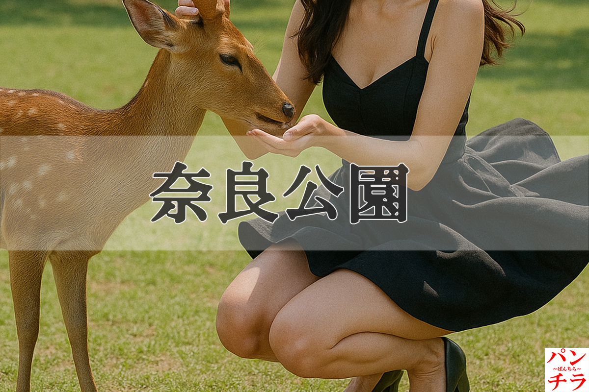 奈良公園🫎パンチラ動画!盗撮?リアルすぎて鹿よりも外国人観光客のパンツが気になっちゃうよ♡