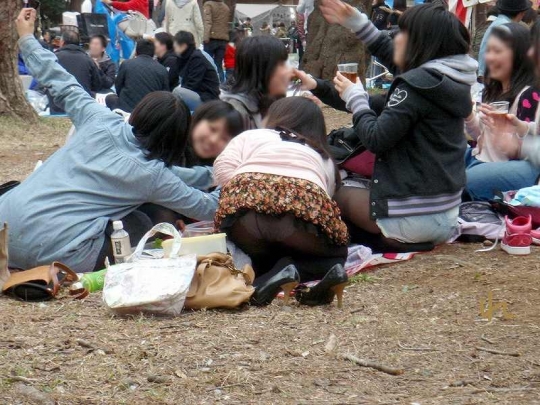 花よりパンツに目がいくエッチな花見パンチラ盗撮エロ画像27枚025枚目