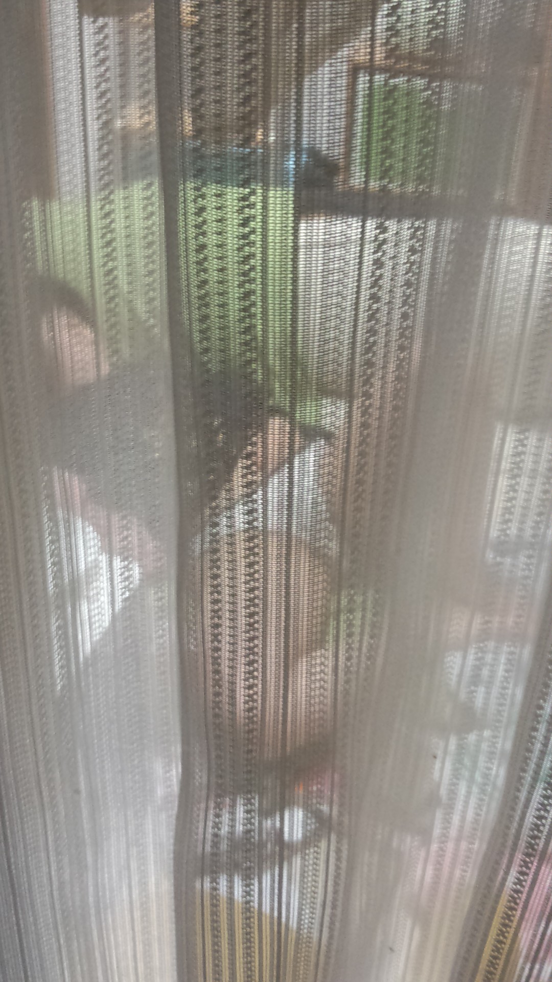 窓からこっそり盗み撮りした隣のお姉さんの裸でオナル013