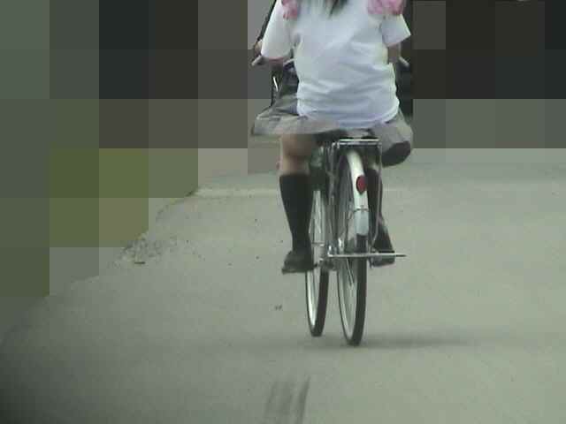 青春真っ盛りな女子高生の自転車パンチラをアホ面で盗撮したったpart2 (25枚)017